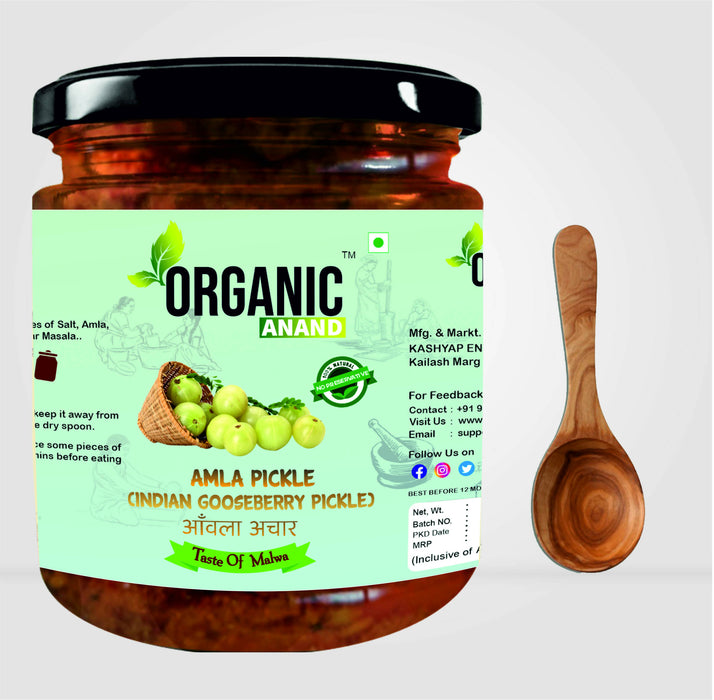Organicanand Amla pickle ( Indian Gooseberry Pickle) | 500 gm | Homemade, Authentic, No preservative