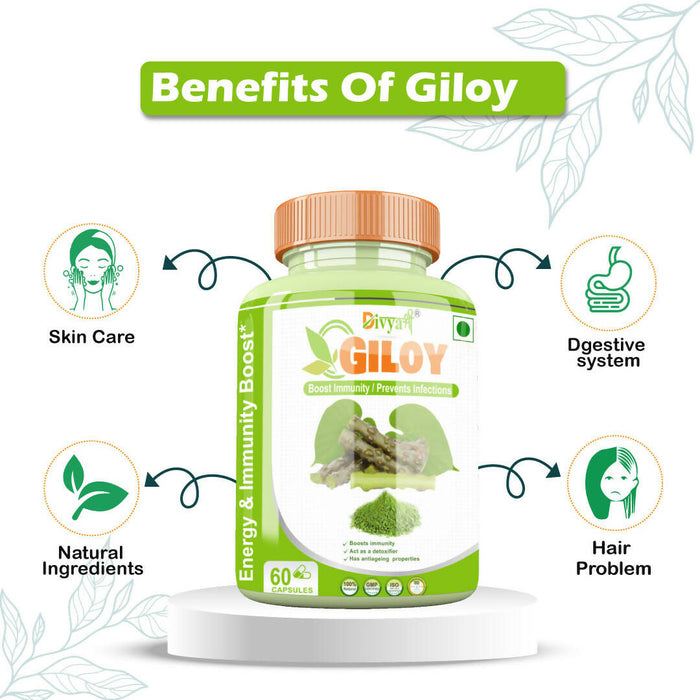 Divya Shree Giloy Capsule Immunity Booster,Improve Digestion, Best Ayurvedic Giloy Capsule 60 Capsule, Jeevan Care Ayurveda