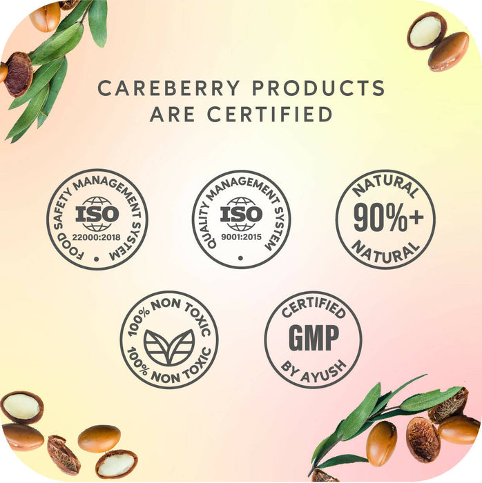 Careberry Moroccon Argan Oil & Silk Proteins Conditioner, For Strong & Silky Hair, Ayush Certified Ayurvedic, Paraben & Sulphate Free 300ml