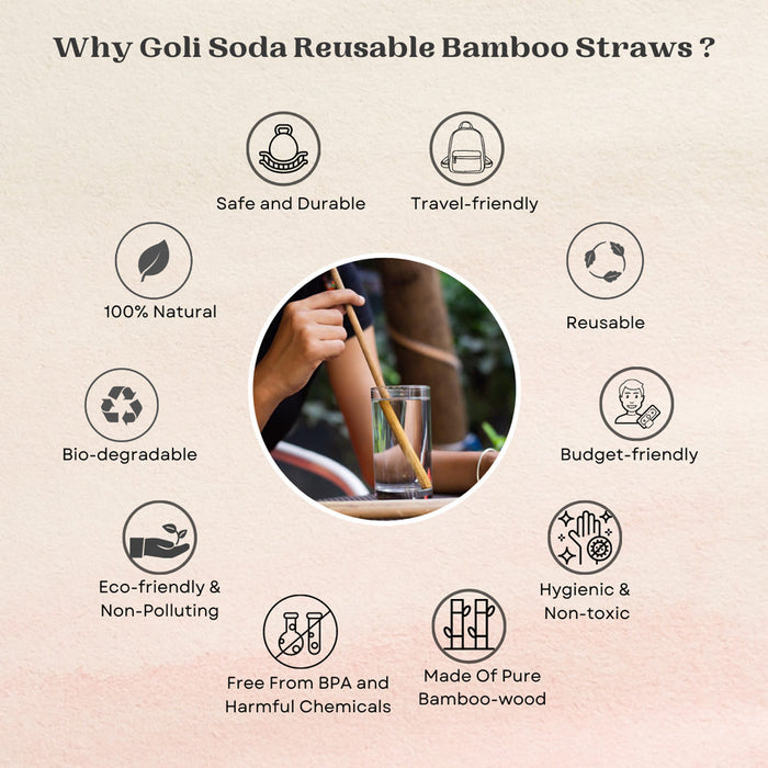Goli Soda Reusable Bamboo Straws With Easy Carry Travel Pouch (Set of 6)