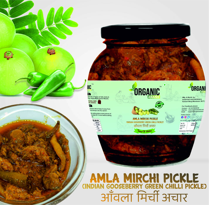 Organicanand Amla -Mirchi pickle (  Indian Gooseberry & green chilly Pickle) | 350 gm Matka Jar | Homemade, Authentic, No preservative