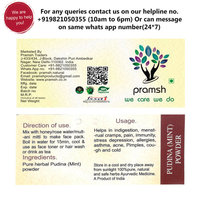 Pramsh Luxurious Pudina Mint Powder - Local Option