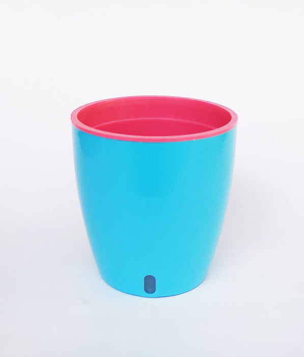 OASIS 120 Self Watering 4.7 inch Plastic Pot (Blue Pink)