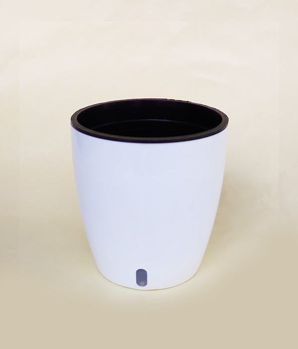 OASIS 120 Self Watering 4.7 inch Plastic Pot (White Black)