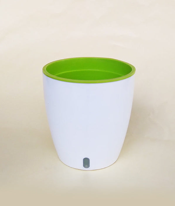 OASIS 120 Self Watering 4.7 inch Plastic Pot (White Green)