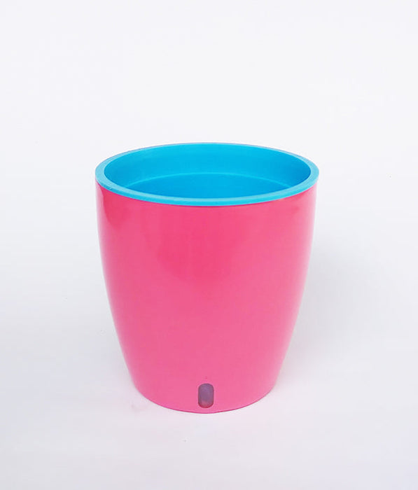 OASIS 120 Self Watering 4.7 inch Plastic Pot (Pink BLue)