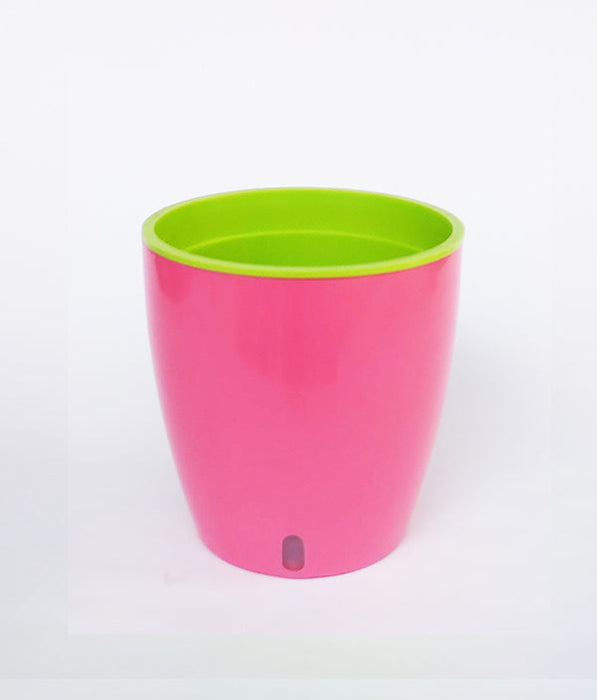 OASIS 120 Self Watering 4.7 inch Plastic Pot (Pink Green)