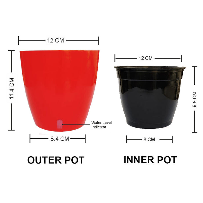 OASIS 120 Self Watering 4.7 inch Plastic Pot (Red Black)