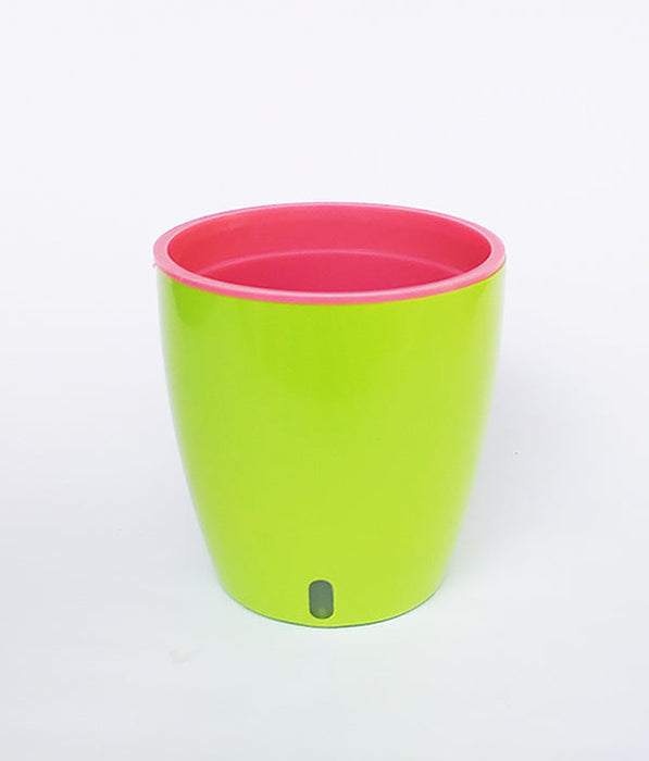 OASIS 120 Self Watering 4.7 inch Plastic Pot (Green Pink)