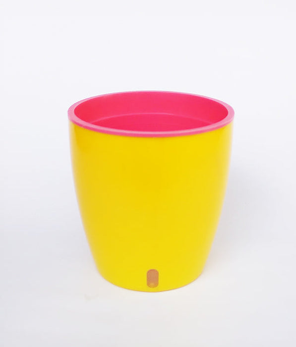 OASIS 120 Self Watering 4.7 inch Plastic Pot (Yellow Pink)