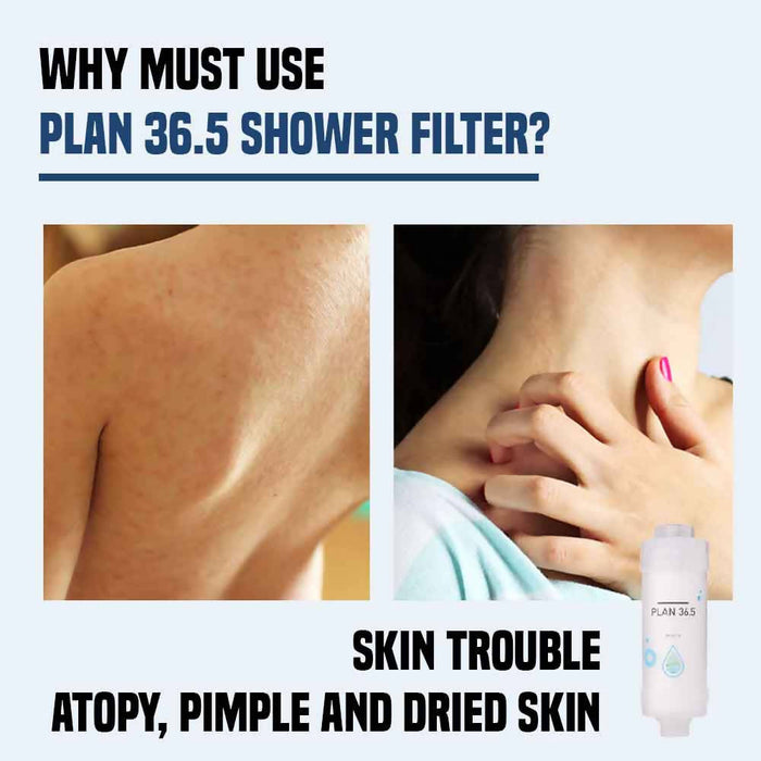 Shower Filter (Delux)