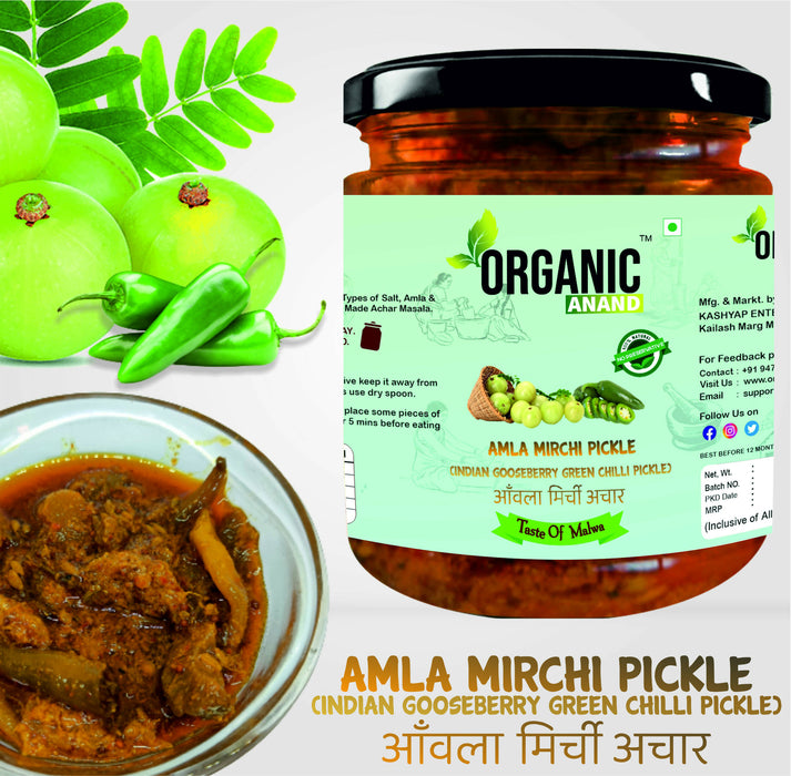 Organicanand Amla -Mirchi pickle (  Indian Gooseberry & green chilly Pickle) | 500 gm | Homemade, Authentic, No preservative