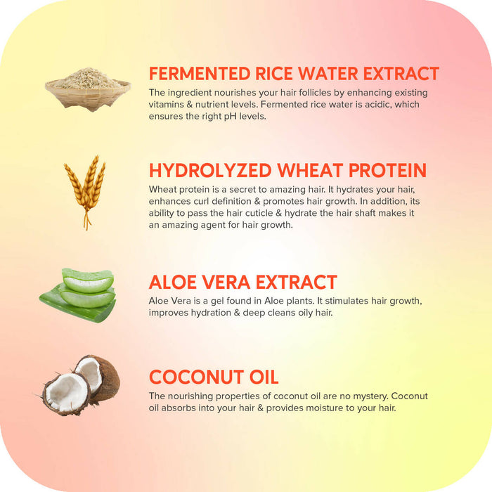 Careberry Fermented Rice Water & Wheat Volumizing Conditioner, For Thin & Brittle Hair, Ayush Certified Ayurvedic, Sulphate & Paraben Free, Gluten & GMO Free, PH Balanced, 300ml
