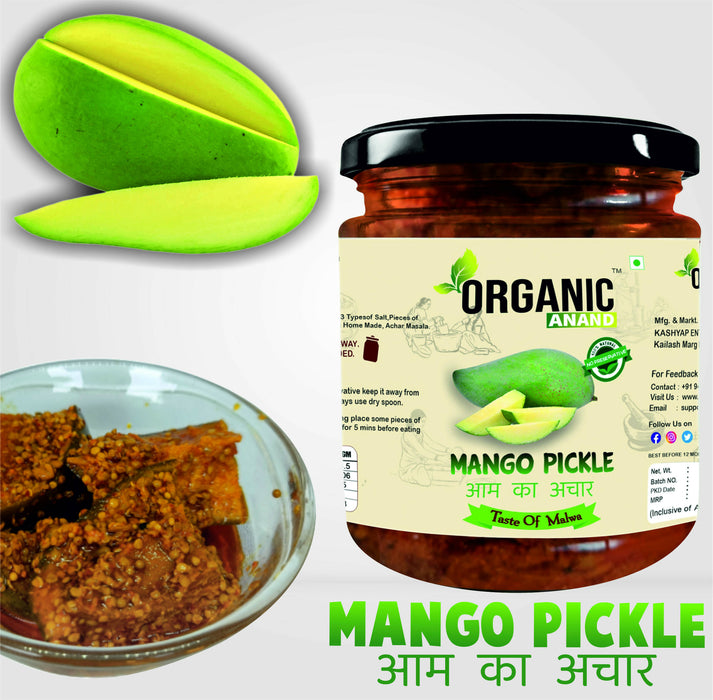 Organicanand Mango pickle (Aam ka achar) | Sour (Khatta) | 500 gm | Homemade, Authentic, No preservative