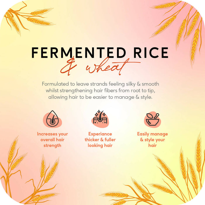 Careberry Fermented Rice Water & Wheat Volumizing Conditioner, For Thin & Brittle Hair, Ayush Certified Ayurvedic, Sulphate & Paraben Free, Gluten & GMO Free, PH Balanced, 300ml