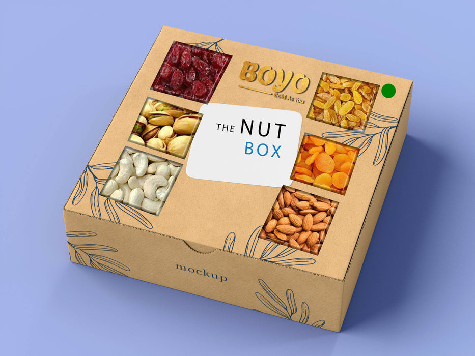 BOYO Mixed Dry Fruits Festive Delight Gift Box 450g - Raw Cashew, Raw Almond, Raw Pistachio, Dried Cranberry, Dried Apricot, Raw Raisin, 75g Each