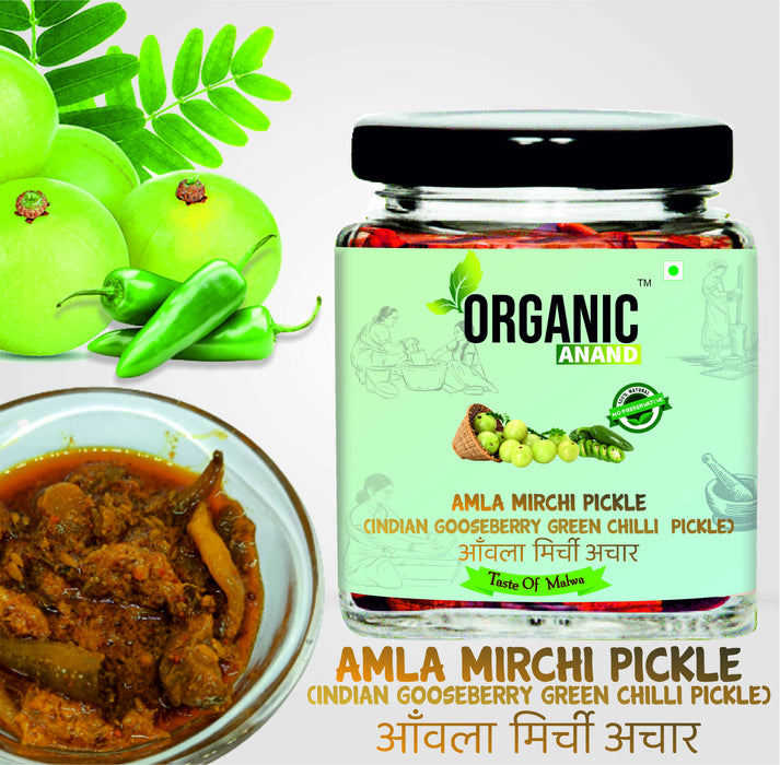 Organicanand Amla -Mirchi pickle (  Indian Gooseberry & green chilly Pickle) | 250 gm | Homemade, Authentic, No preservative
