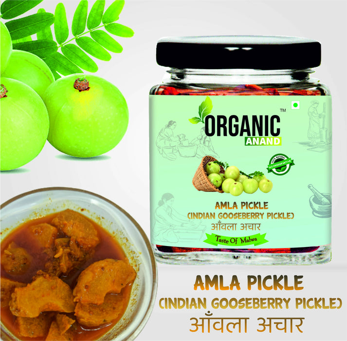 Organicanand Amla pickle ( Indian Gooseberry Pickle) | 250 gm | Homemade, Authentic, No preservative