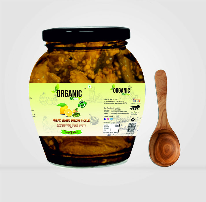 Organicanand Adrak Nimbu Mirchi Pickle (Ginger Lemon Green Chilli) | 350 gm Matka Jar | Khatta, Spicy | Homemade, Authentic, No preservative