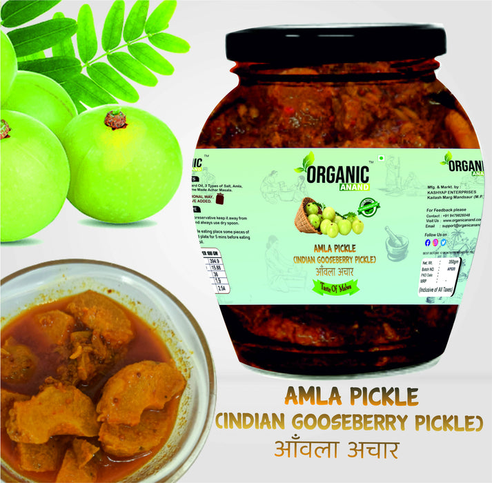 Organicanand Amla pickle ( Indian Gooseberry Pickle) | 350 gm Matka Jar | Homemade, Authentic, No preservative