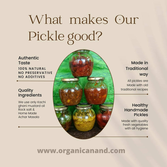 Organicanand Adrak Nimbu Mirchi Pickle (Ginger Lemon Green Chilli) | 500 gm | Khatta, Spicy | Homemade, Authentic, No preservative