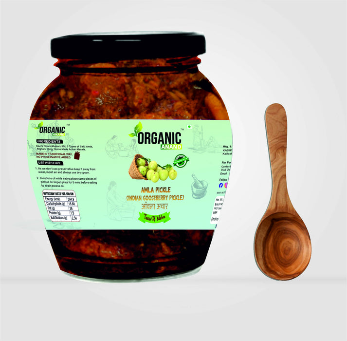 Organicanand Amla pickle ( Indian Gooseberry Pickle) | 350 gm Matka Jar | Homemade, Authentic, No preservative