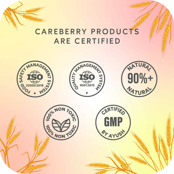 Careberry Fermented Rice Water & Wheat Volumizing Shampoo + Conditioner Combo, For Thin & Brittle Hair, Ayush Certified Ayurvedic, Sulphate & Paraben Free 300*2ml